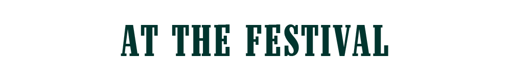 TwoStepInn-ZendeskUpdates_AtTheFestival.png