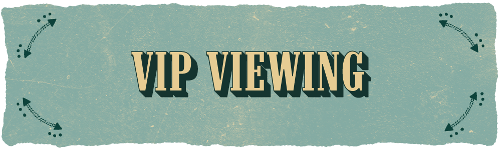 TSI26-Zendesk-VIP-Viewing.png