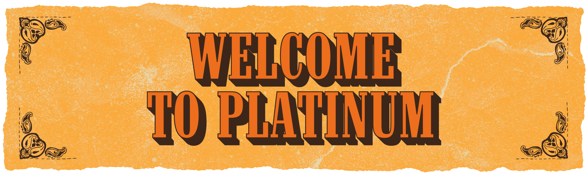 TSI26-Zendesk-Platinum_Welcome.png