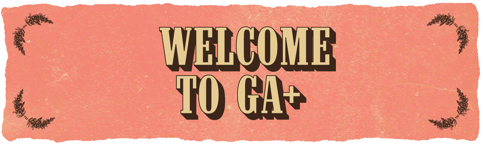 TSI26-Zendesk-GA+_Welcome.png
